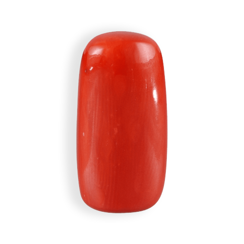 Red Coral 10 Ratti