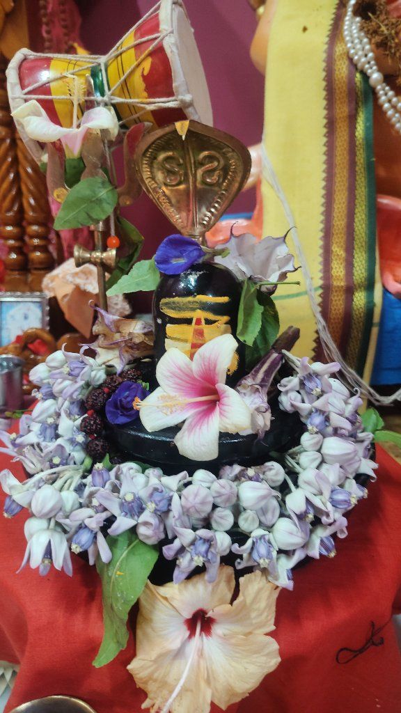 Astro shri Jonak